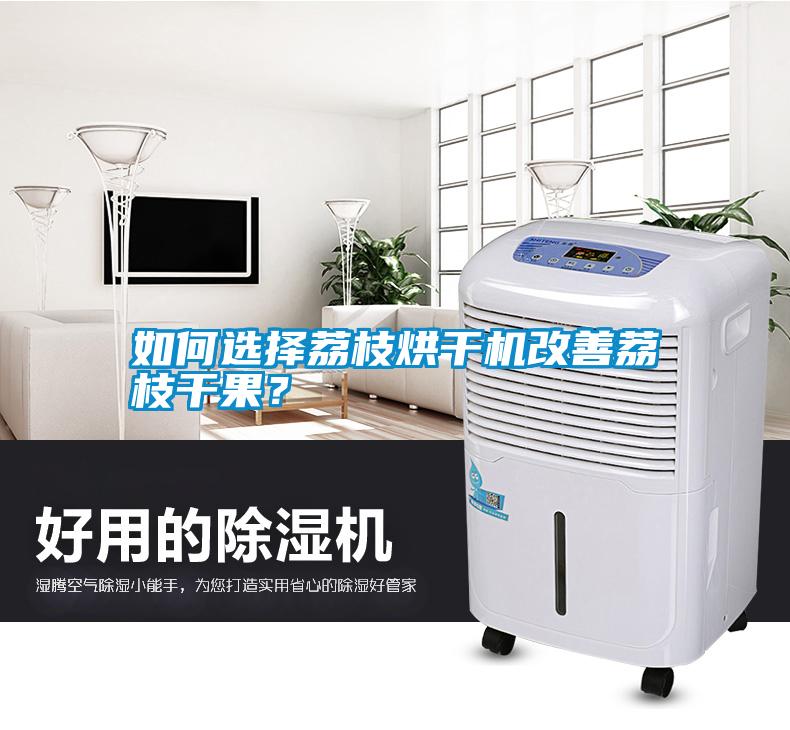 如何選擇荔枝烘干機改善荔枝干果？