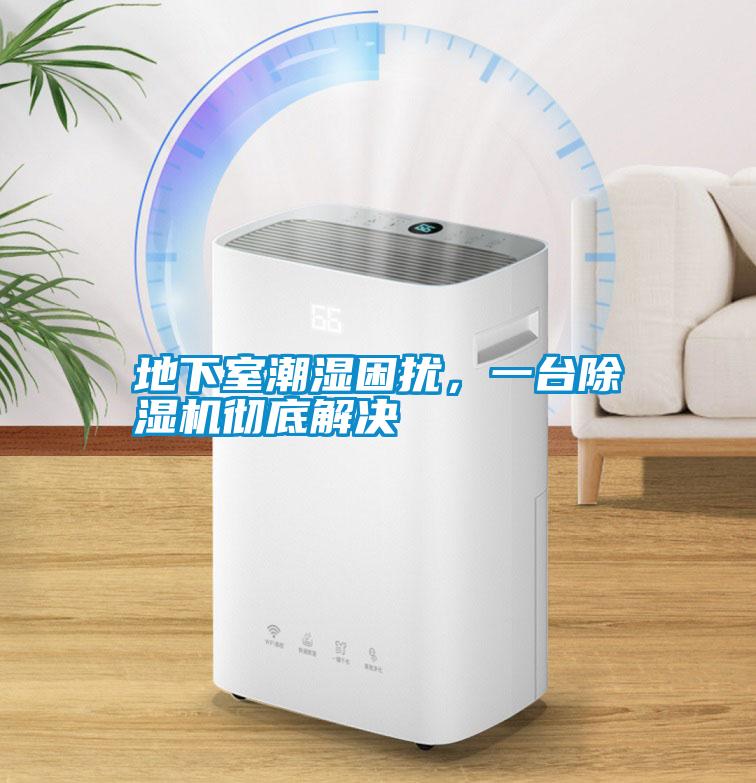 地下室潮濕困擾，一臺除濕機徹底解決