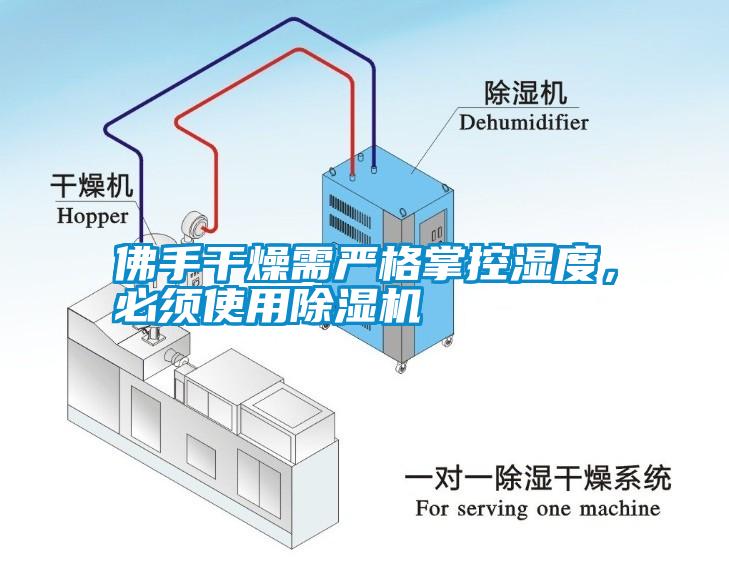 佛手干燥需嚴格掌控濕度，必須使用除濕機