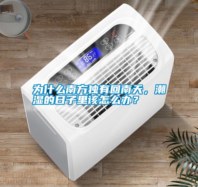 為什么南方獨有回南天，潮濕的日子里該怎么辦？