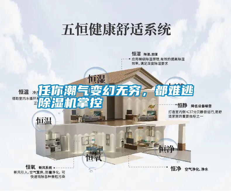任你潮氣變幻無窮，都難逃除濕機掌控
