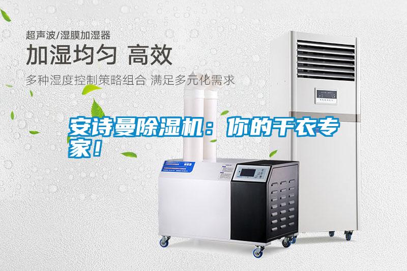 安詩曼除濕機：你的干衣專家！