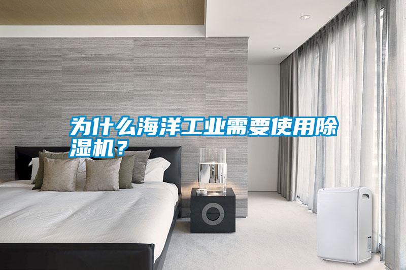 為什么海洋工業需要使用除濕機？