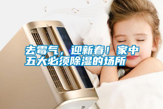 去霉氣，迎新春！家中五大必須除濕的場所