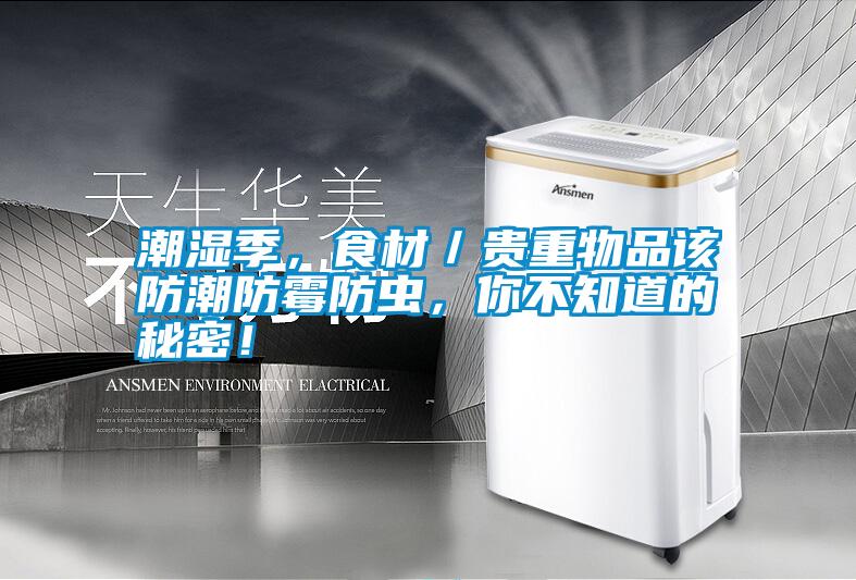 潮濕季，食材／貴重物品該防潮防霉防蟲，你不知道的秘密！