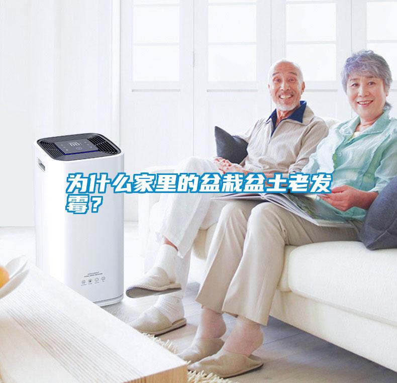 為什么家里的盆栽盆土老發霉？