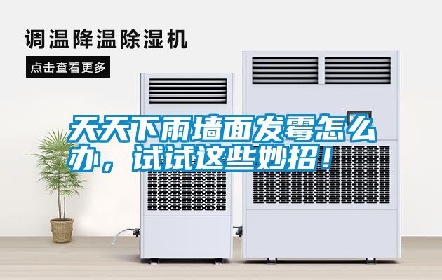 天天下雨墻面發霉怎么辦，試試這些妙招！