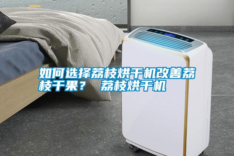 如何選擇荔枝烘干機改善荔枝干果？ 荔枝烘干機
