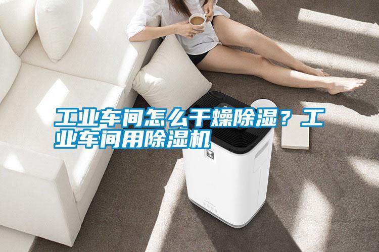 工業車間怎么干燥除濕？工業車間用除濕機