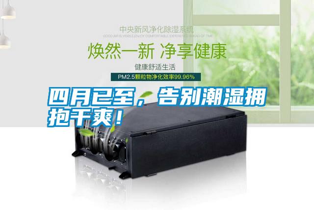 四月已至，告別潮濕擁抱干爽！