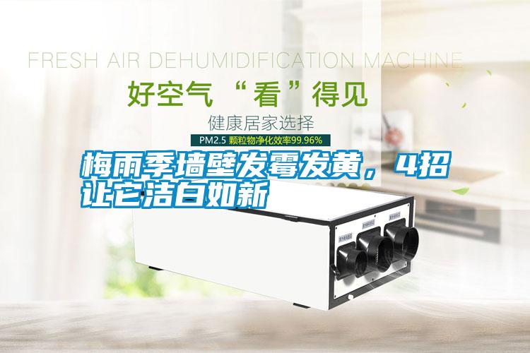 梅雨季墻壁發霉發黃，4招讓它潔白如新