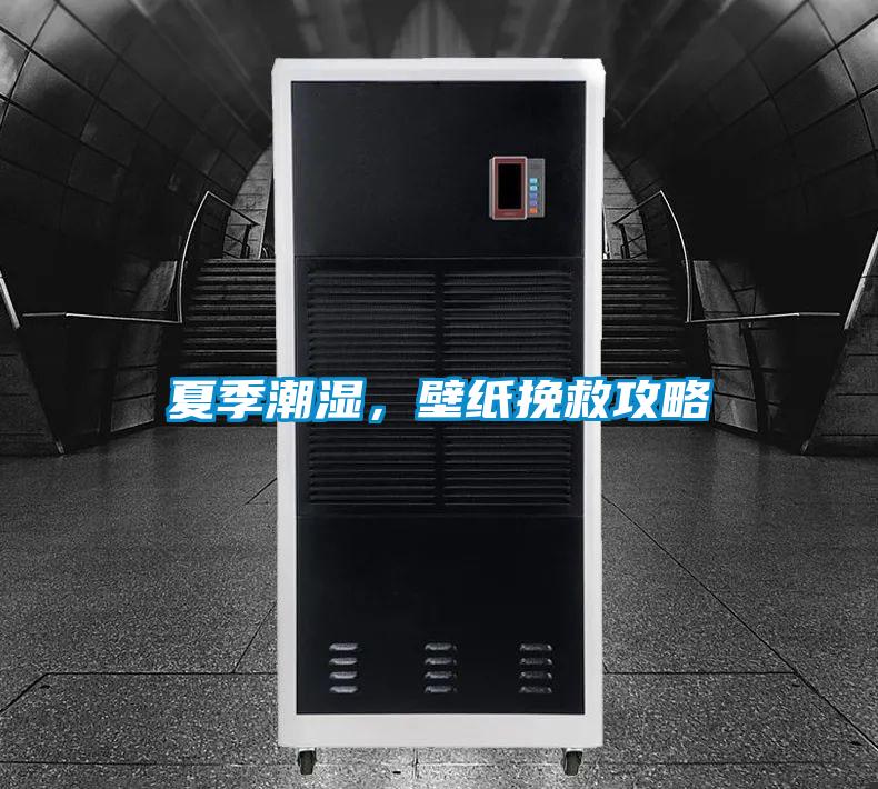 夏季潮濕，壁紙挽救攻略