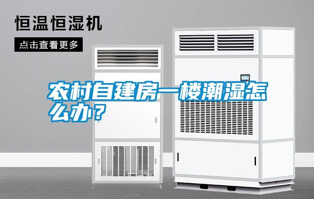 農村自建房一樓潮濕怎么辦？