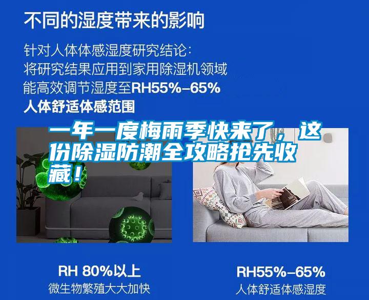 一年一度梅雨季快來了，這份除濕防潮全攻略搶先收藏！