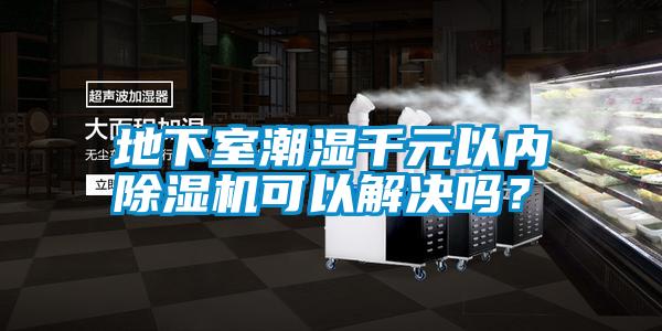 地下室潮濕千元以內除濕機可以解決嗎？