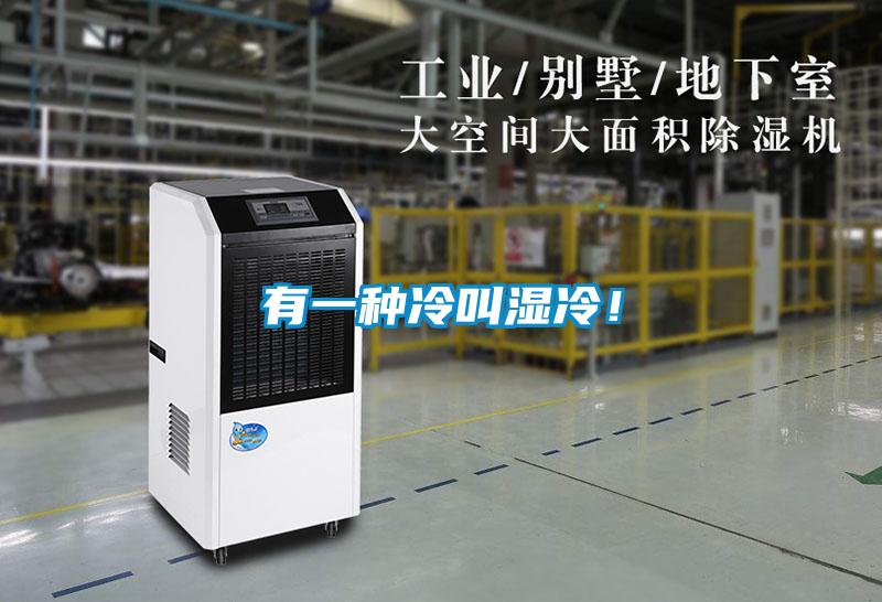 有一種冷叫濕冷！