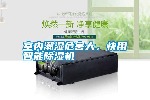 室內潮濕危害大，快用智能除濕機