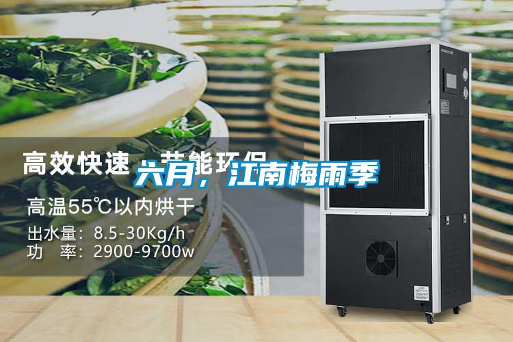 六月，江南梅雨季