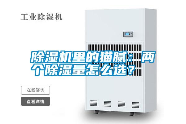 除濕機里的貓膩：兩個除濕量怎么選？