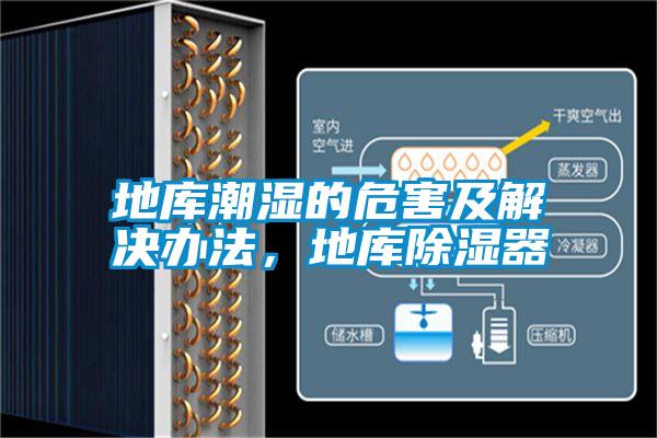 地庫潮濕的危害及解決辦法，地庫除濕器