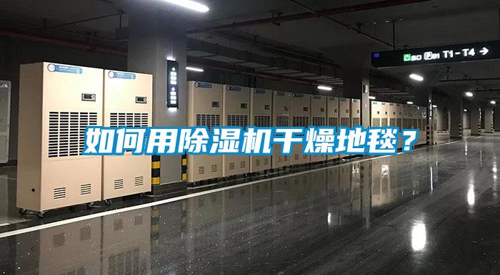 如何用除濕機干燥地毯？