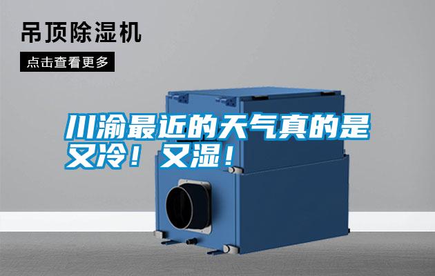 川渝最近的天氣真的是又冷！又濕！