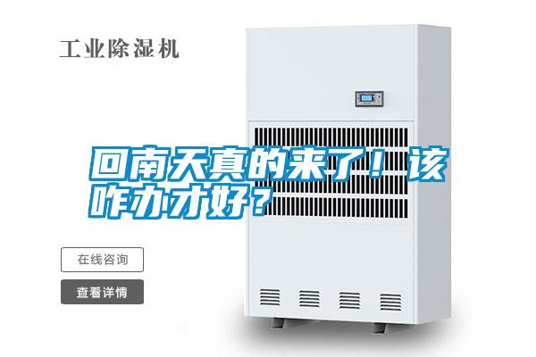 回南天真的來了！該咋辦才好？