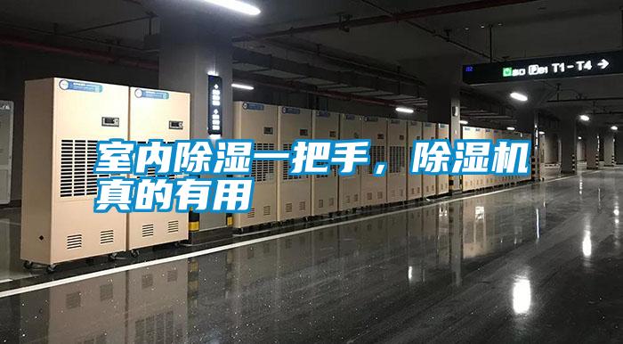 室內除濕一把手，除濕機真的有用