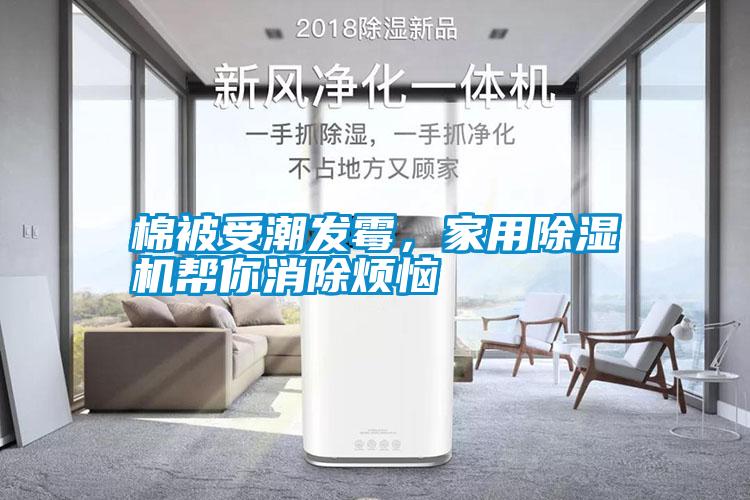 棉被受潮發霉，家用除濕機幫你消除煩惱