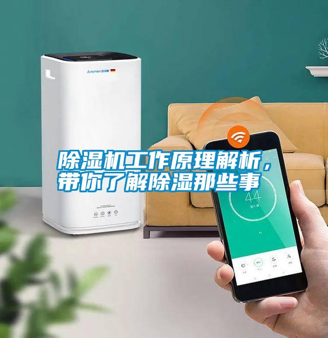 除濕機工作原理解析，帶你了解除濕那些事