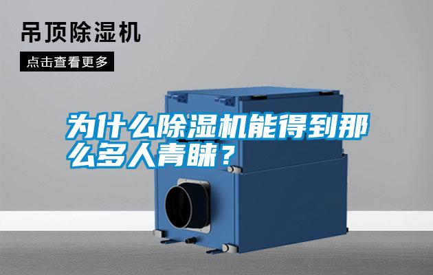 為什么除濕機能得到那么多人青睞？