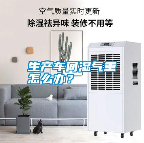 生產車間濕氣重怎么辦？