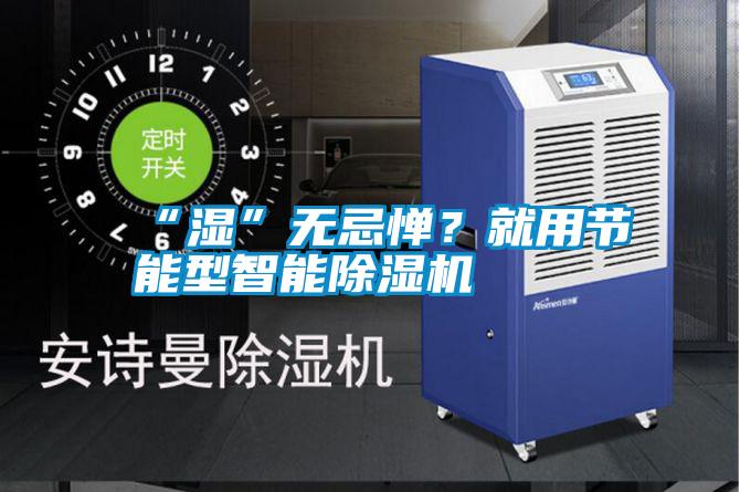 “濕”無忌憚？就用節能型智能除濕機