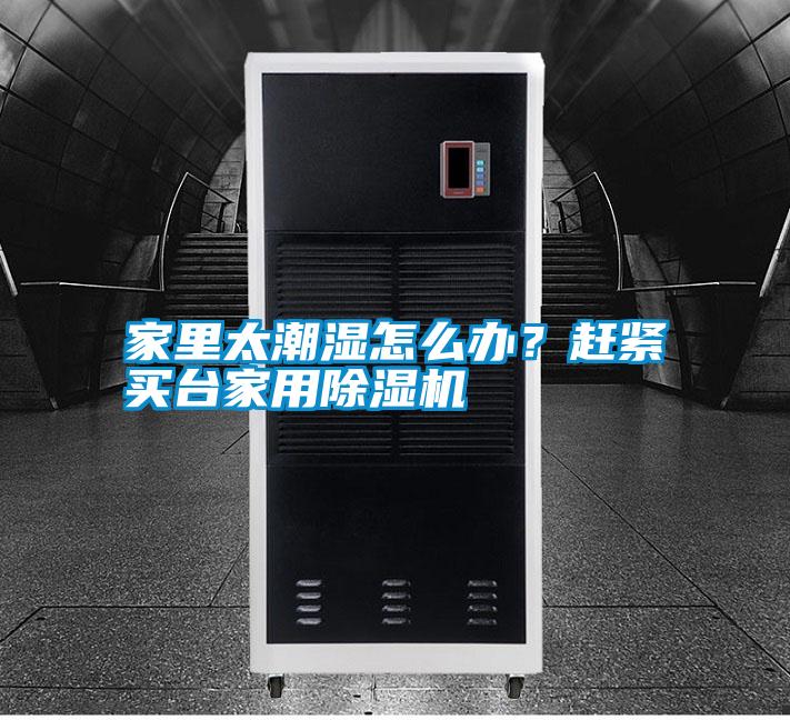 家里太潮濕怎么辦？趕緊買臺家用除濕機