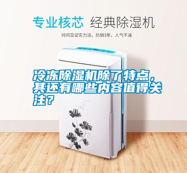 冷凍除濕機除了特點，其還有哪些內容值得關注？
