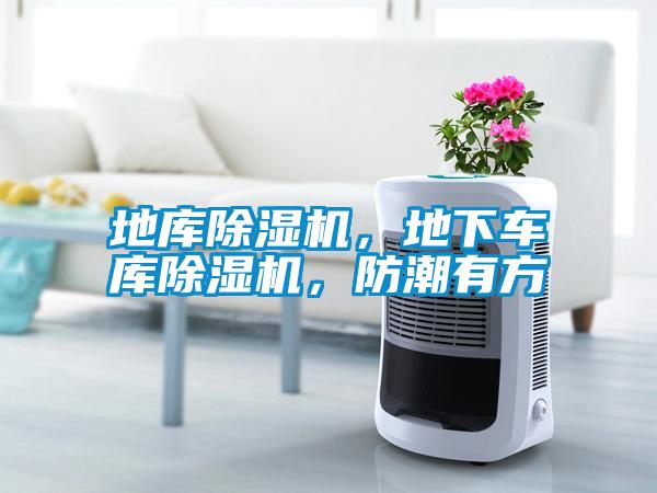 地庫除濕機，地下車庫除濕機，防潮有方