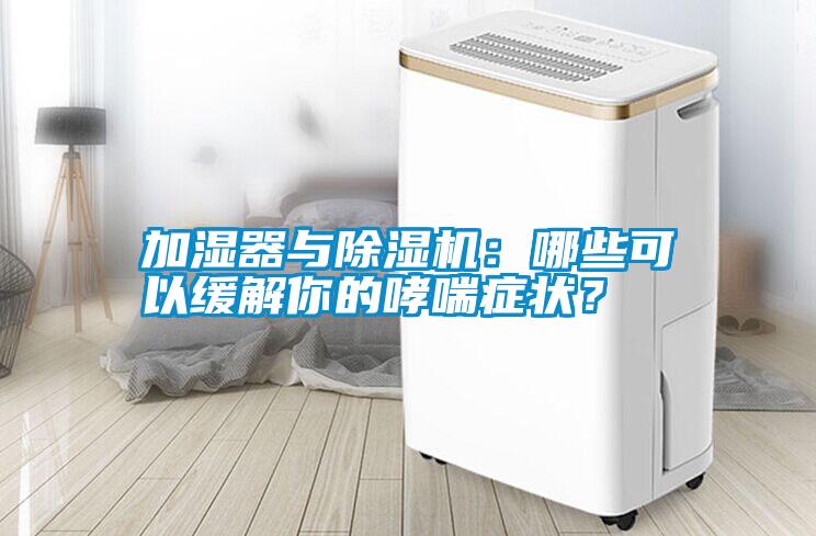 加濕器與除濕機：哪些可以緩解你的哮喘癥狀？