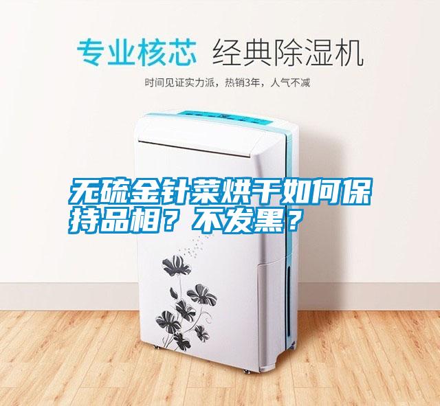 無硫金針菜烘干如何保持品相？不發黑？