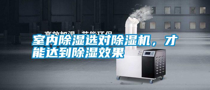 室內除濕選對除濕機，才能達到除濕效果