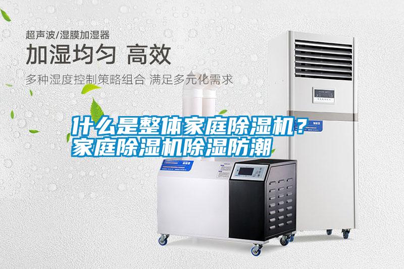 什么是整體家庭除濕機？ 家庭除濕機除濕防潮