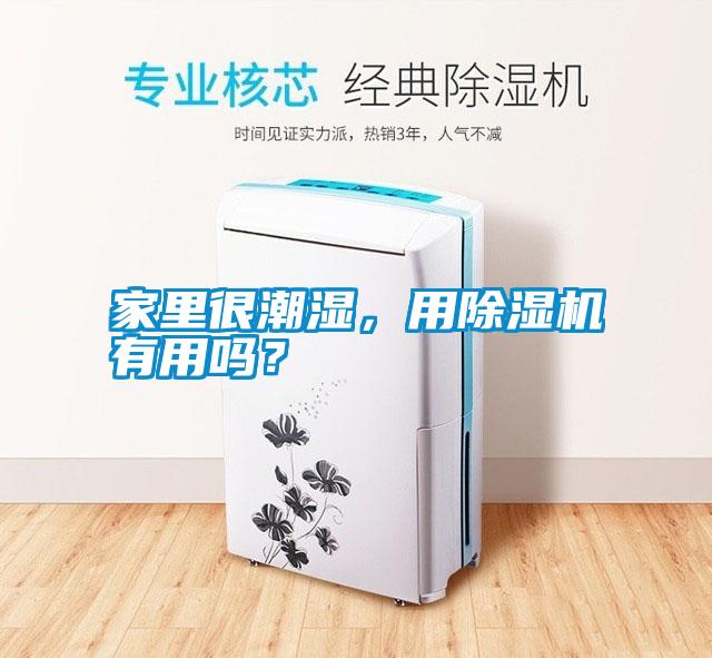 家里很潮濕，用除濕機有用嗎？