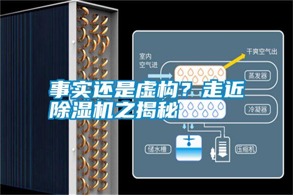 事實還是虛構？走近除濕機之揭秘
