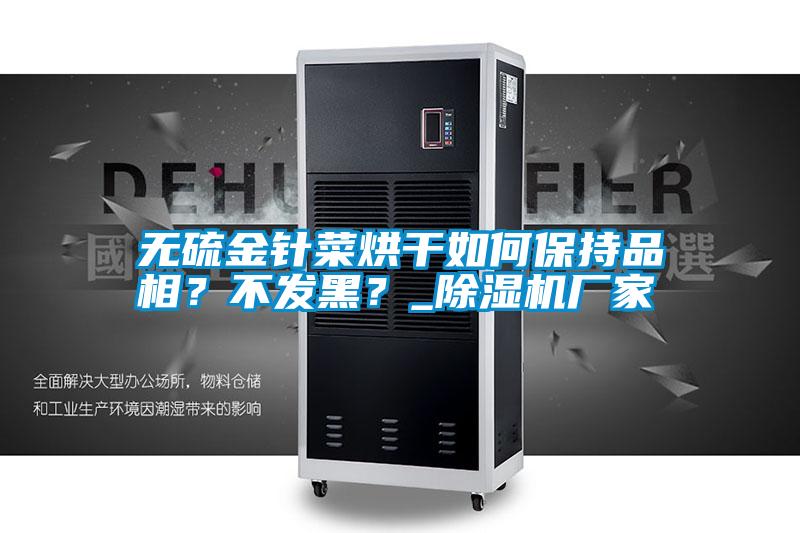 無硫金針菜烘干如何保持品相？不發黑？_除濕機廠家