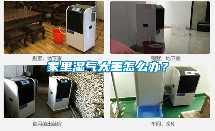 家里濕氣太重怎么辦？