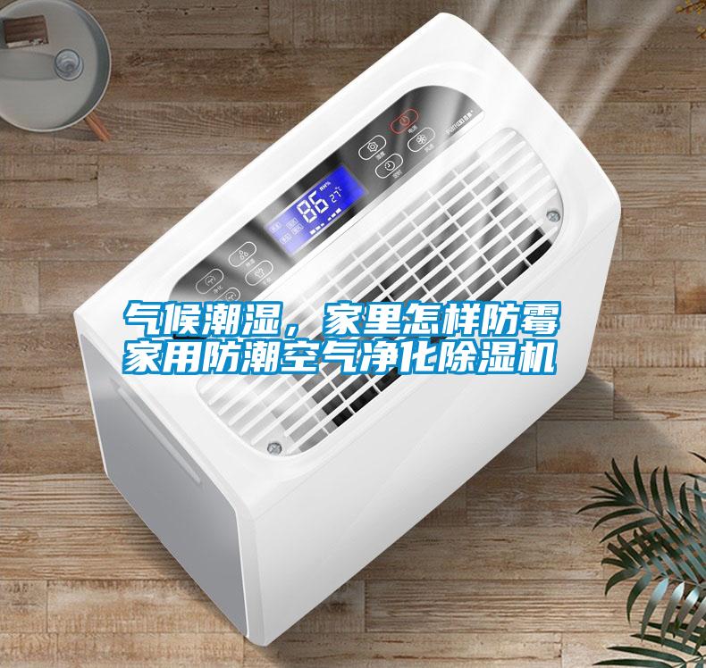氣候潮濕，家里怎樣防霉 家用防潮空氣凈化除濕機
