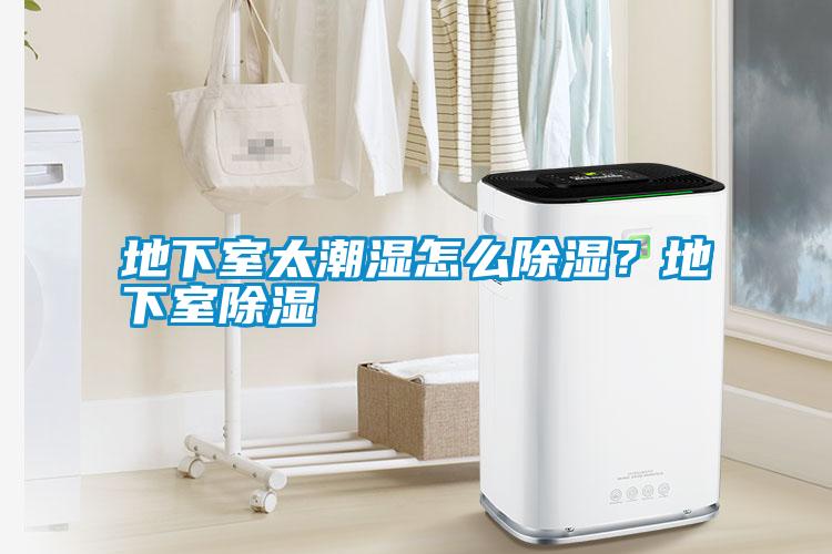 地下室太潮濕怎么除濕？地下室除濕