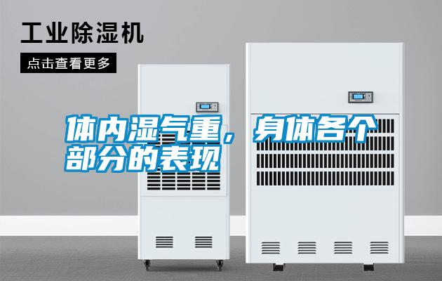 體內濕氣重，身體各個部分的表現