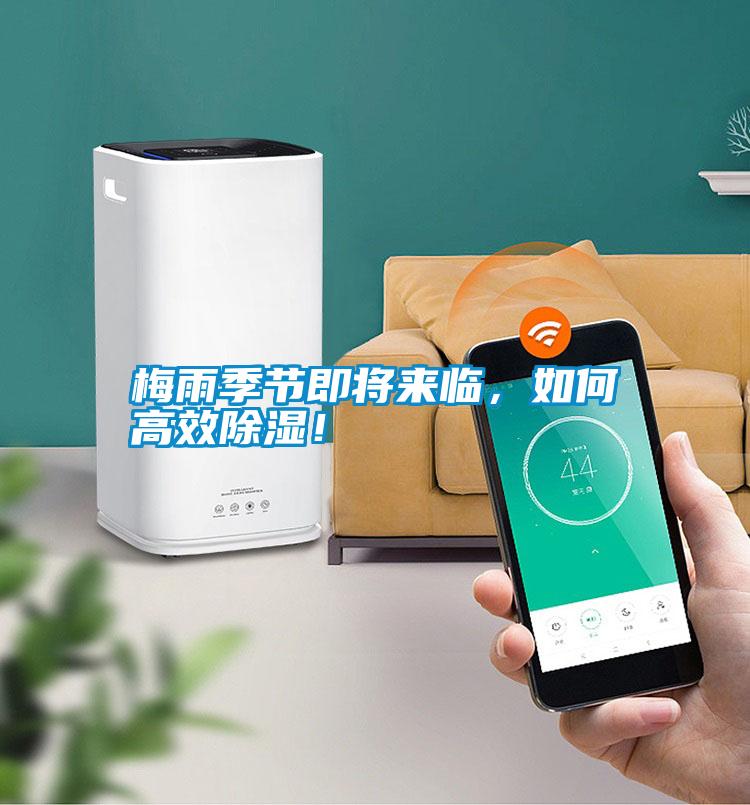 梅雨季節即將來臨，如何高效除濕！