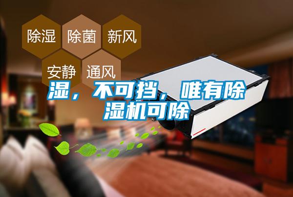 濕，不可擋，唯有除濕機可除