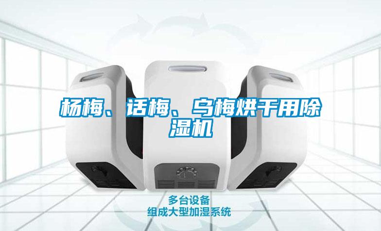 楊梅、話梅、烏梅烘干用除濕機